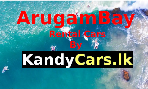 rental-cars-arugambay-sri-lanka
