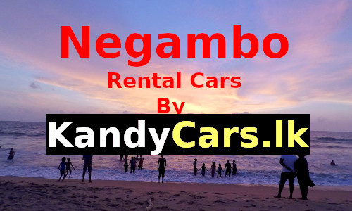 rental cars in negambo sri lanka