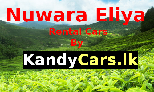 rental-cars-nuwaraeliya-sri-lanka.png